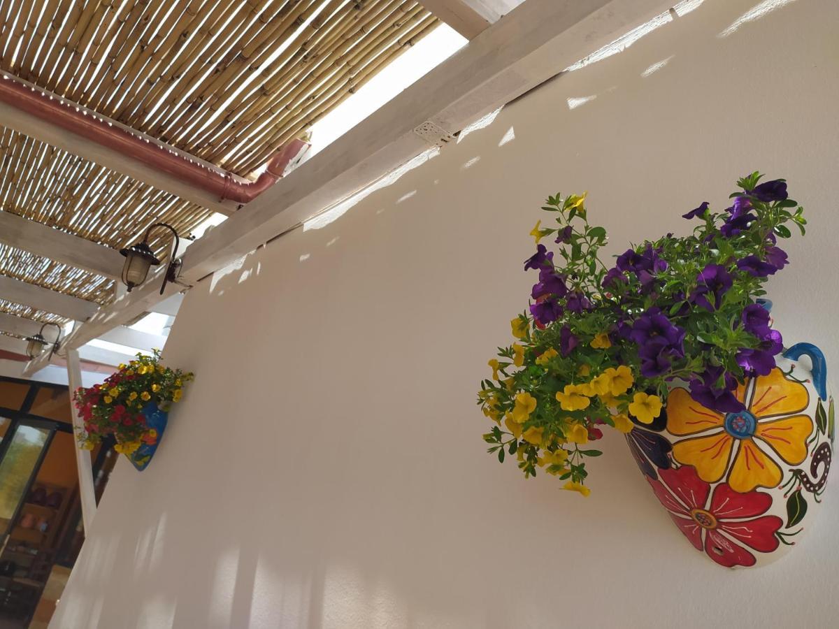 Agriturismo "Terra D'Ulivi" Porto Cesareo Eksteriør bilde