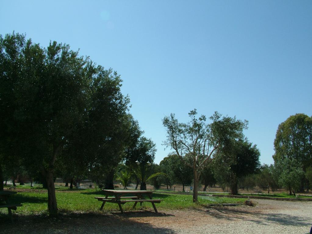 Agriturismo "Terra D'Ulivi" Porto Cesareo Rom bilde