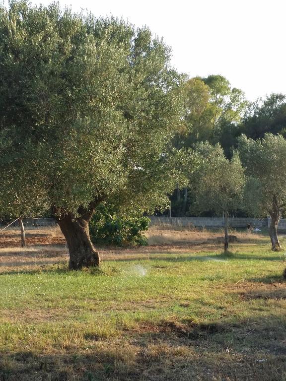 Agriturismo "Terra D'Ulivi" Villa Porto Cesareo Eksteriør bilde