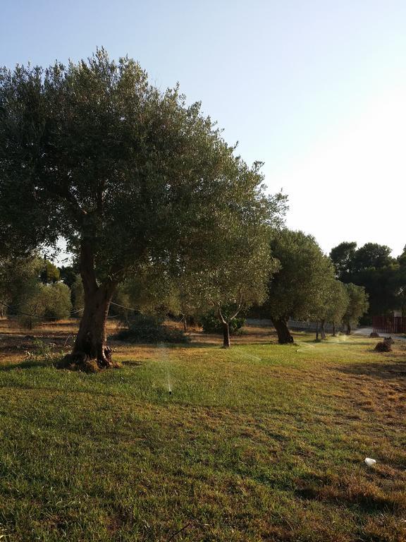 Agriturismo "Terra D'Ulivi" Porto Cesareo Rom bilde